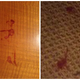 Image for article titled 'Large Blood Stain on Carpet:' The Bleakest Motel Reviews on Yelp